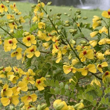 Delirius Hospedagem Itamonte Ngoại thất bức ảnh